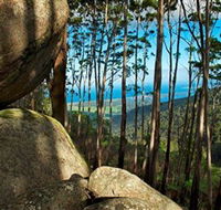 Mount Gulaga Mount Dromedary Walk - Find Attractions