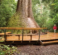 Burrawan State Forest - Find Attractions