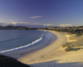 Forster Town Beach - Find Attractions 0