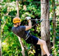 TreeTop Challenge Currumbin - Find Attractions
