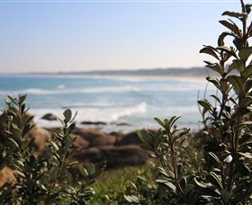 Cape Conran Nature Trail - Find Attractions 0