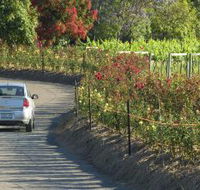Cassegrain Wines - Find Attractions