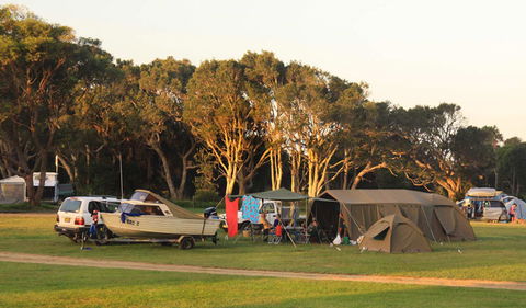 Booti Booti National Park - Find Attractions 3