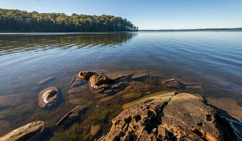 Queens Lake Nature Reserve - Find Attractions 0