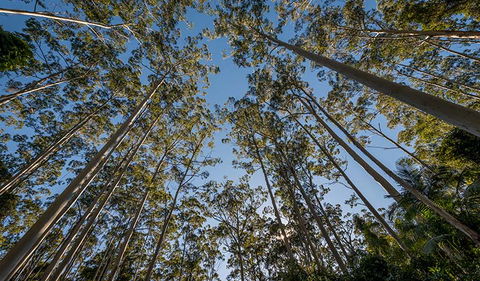Queens Lake Nature Reserve - Find Attractions 2