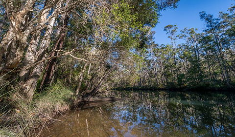 Queens Lake Nature Reserve - Find Attractions 3