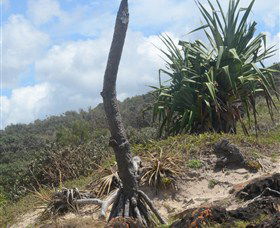 Chinamans Beach Evans Head - Find Attractions 2