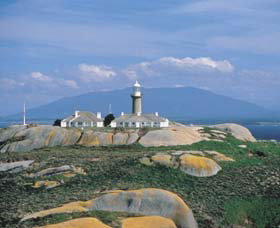 Montague Island Nature Reserve Montague Island
