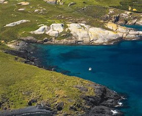 Montague Island Nature Reserve - Find Attractions 1
