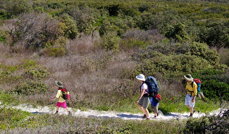 Yuraygir coastal walk Minnie Water