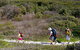 Yuraygir Coastal Walk - thumb 0
