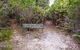 Angophora Grove Walking Track - thumb 0