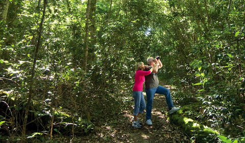 Iluka Nature Reserve - Find Attractions 0
