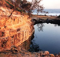 Angourie Blue Pool - Find Attractions