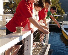 Dunbogan Boatshed - Find Attractions 3
