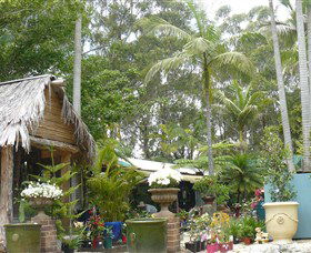 Diamond Waters Garden Nursery - Find Attractions 0