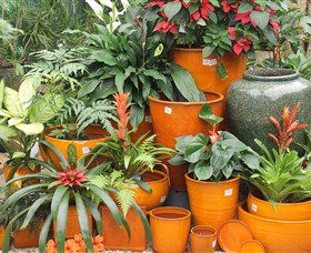 Diamond Waters Garden Nursery - Find Attractions 1