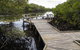 Walk On Water Walking Track - thumb 1