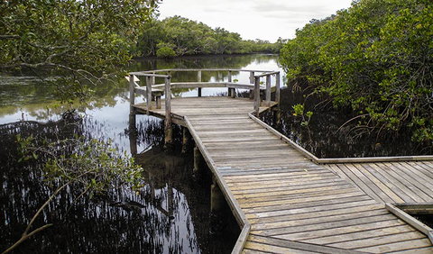 Walk On Water Walking Track - Find Attractions 1