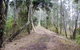 Walk On Water Walking Track - thumb 2