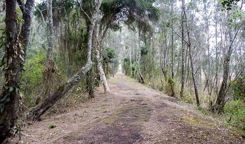 Walk On Water Walking Track - Find Attractions 2