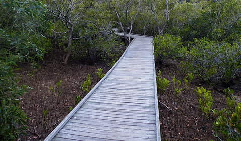 Walk On Water Walking Track - Find Attractions 3