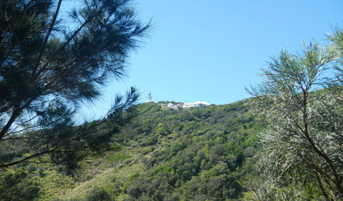 Jack Perkins Walking Track - Find Attractions 3