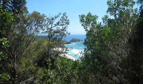 Jack Perkins Walking Track - Find Attractions 1