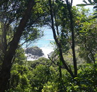 Rainforest walking track - Find Attractions