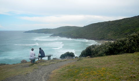 Connors Walking Track - Find Attractions 3