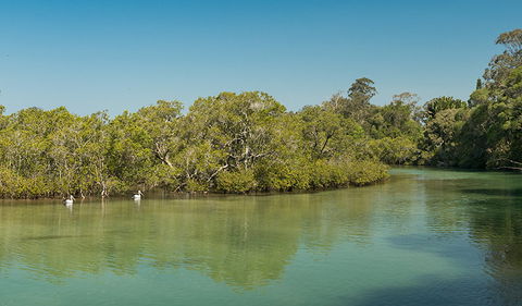 Tyagarah Nature Reserve - Find Attractions 0