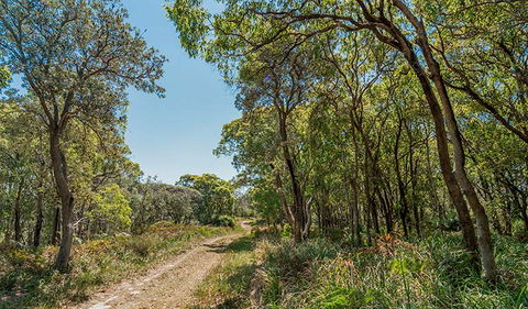 Tyagarah Nature Reserve - Find Attractions 2
