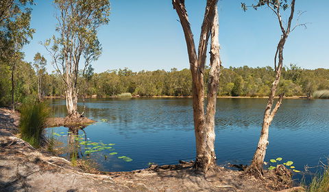 Tyagarah Nature Reserve - Find Attractions 3