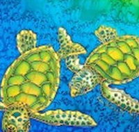 Sea Silks Gallery - Find Attractions