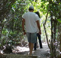 Three Sisters walking track - Find Attractions