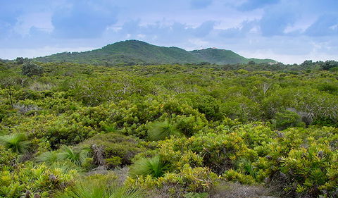 Arakwal National Park - Find Attractions 1