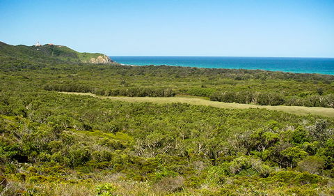 Arakwal National Park - Find Attractions 2