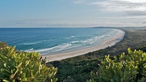 Cape Byron State Conservation Area - Find Attractions 0