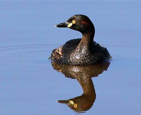 Panboola Wetlands - Find Attractions 0