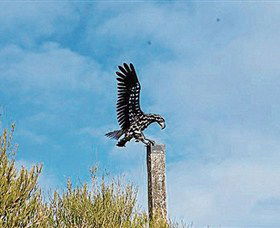 Panboola Wetlands - Find Attractions 1