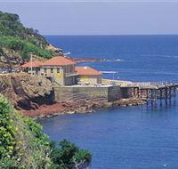 Merimbula Aquarium - Find Attractions