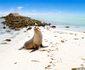 Abrolhos Islands - Find Attractions 2