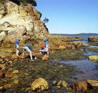 Sapphire Coast Marine Discovery Centre - Find Attractions