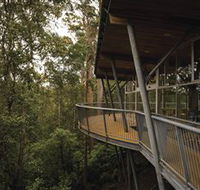 Tarkine Forest Adventures - Dismal Swamp - Find Attractions