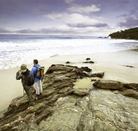 Wilderness Coast Walk - Find Attractions