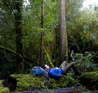 The Tarkine Drive - Find Attractions
