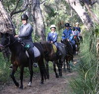 Mirravale Horse Riding School - Find Attractions