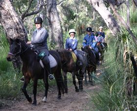 Mirravale Horse Riding School - Find Attractions 0