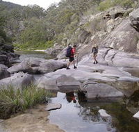 Nadgee Wilderness Walk - Find Attractions