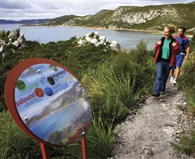 Rocky Cape National Park - Find Attractions 0